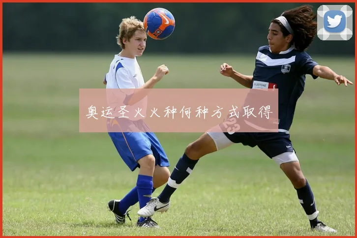 奥运圣火火种何种方式取得