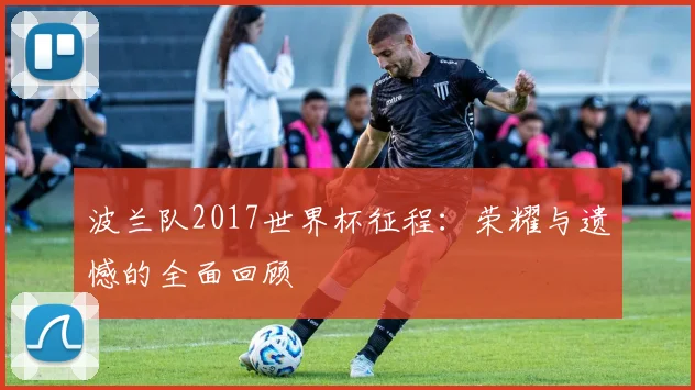 波兰队2017世界杯征程：荣耀与遗憾的全面回顾